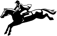 Chestnut Horse Feeds logo